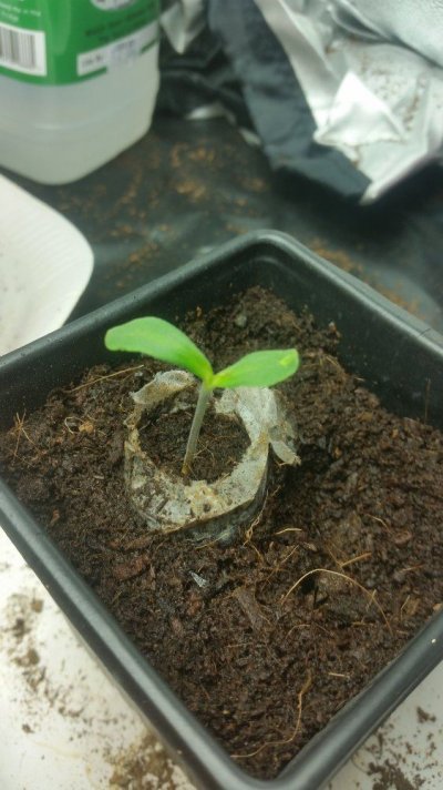 20160414_123618.jpg