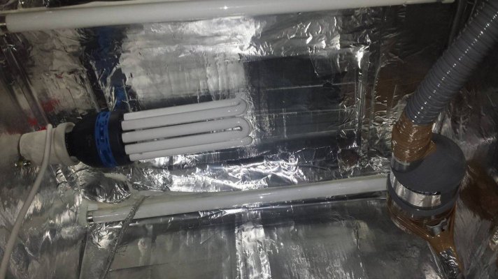 Grow Room Light Set-up - Day 14 (4).jpg