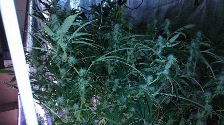 received_1191055810918650.jpeg