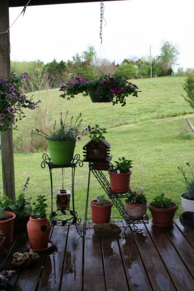back deck2.jpg