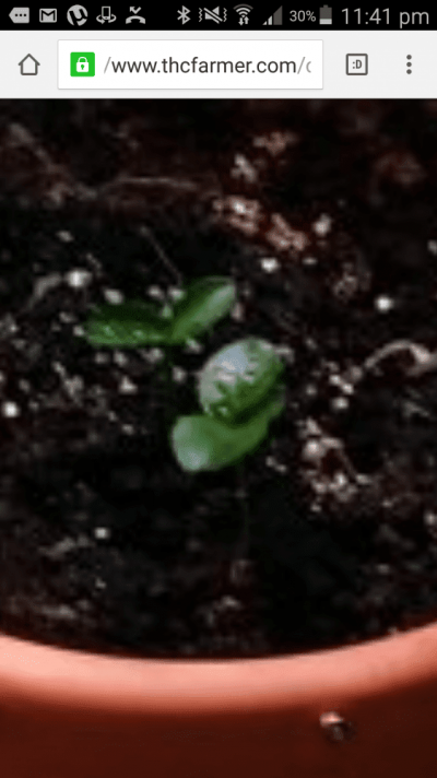 Screenshot_2016-04-22-23-41-23.png