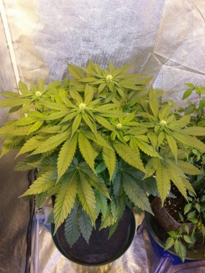 20160420_075105.jpg