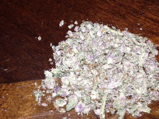 Bad Camera But Organic Og