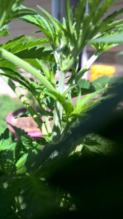 WP_20160505_13_23_39_Pro.jpg