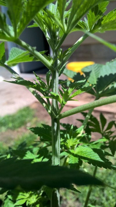 WP_20160505_13_22_46_Pro.jpg