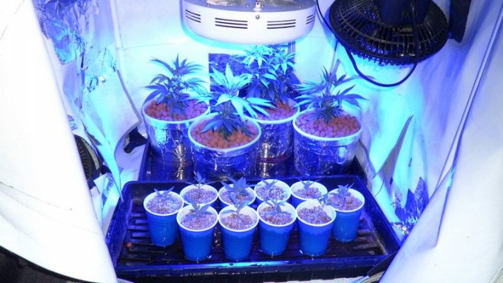 GH Waterfarm Grow-BIG BANG