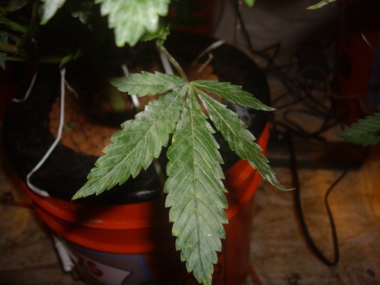 Will a sulfur burner fix this strange powder problem?