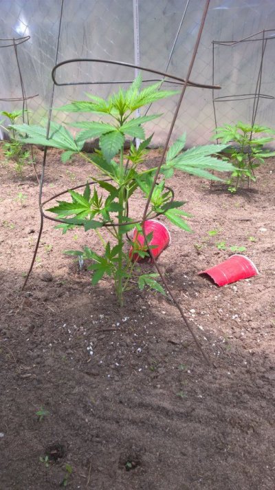 WP_20160513_12_10_48_Pro.jpg