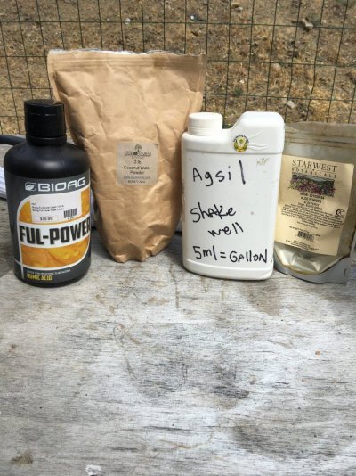 image.jpeg