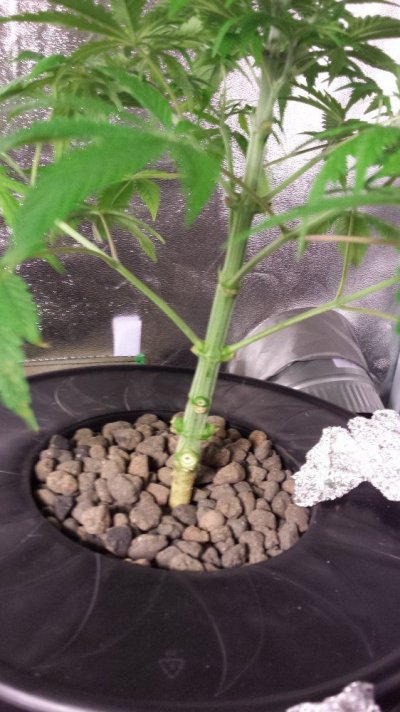 20160524_202854[1].jpg