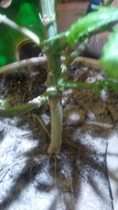 20160524_122810.jpg