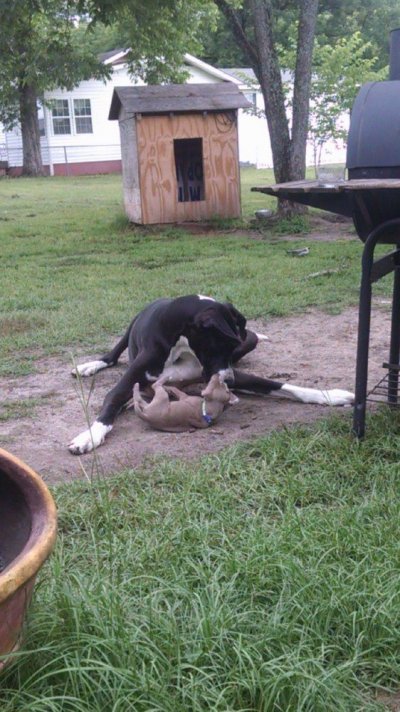 IMG_20160605_094304479.jpg