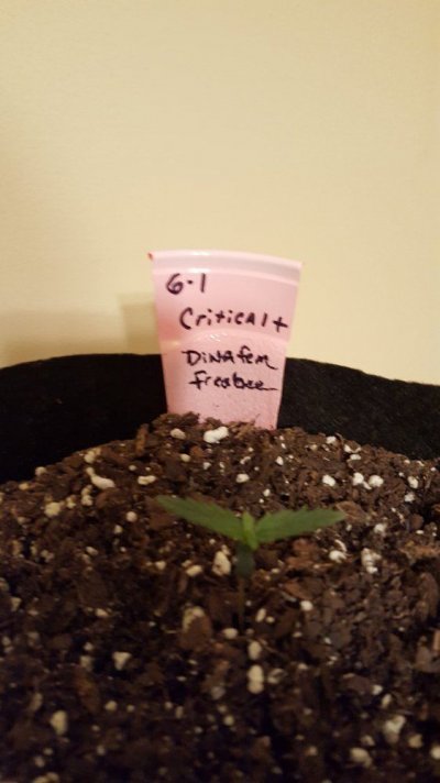 20160607_201214.jpg