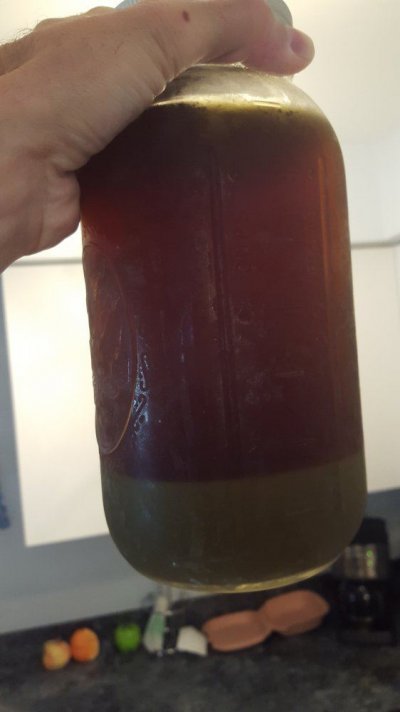20160610_092545.jpg