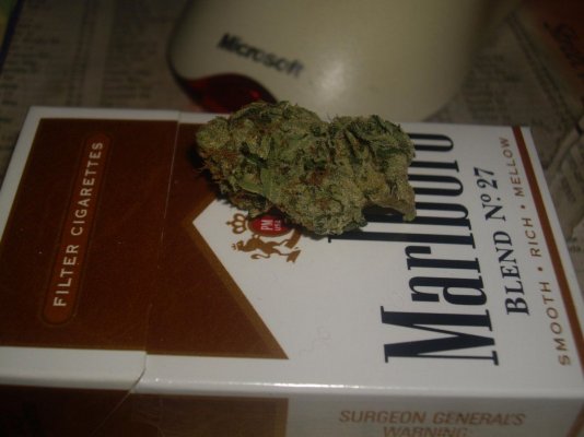 whats in your jar aka flavor of the week