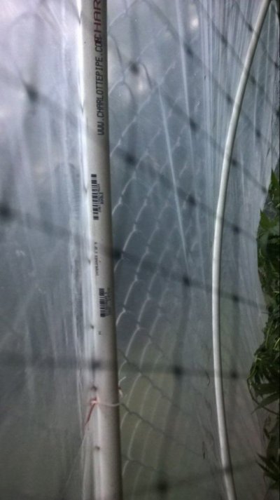 WP_20160711_21_18_38_Pro_LI.jpg
