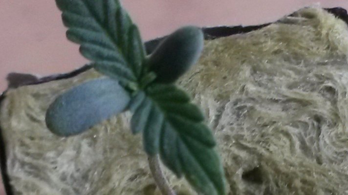 20160711_201135.jpg