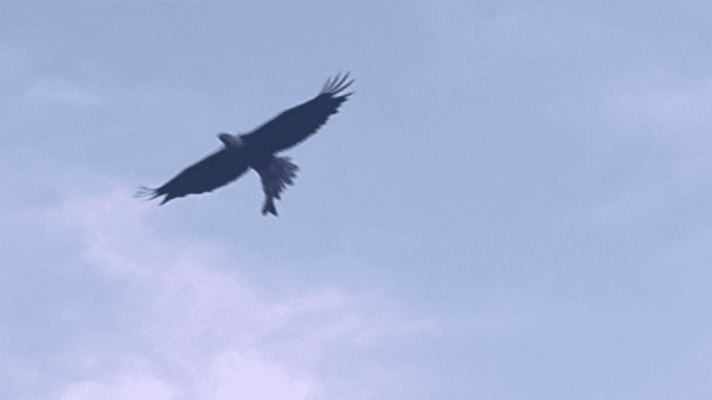 wp_ss_20160721_0001.png