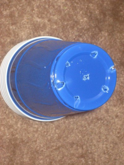 cups turned pots.JPG