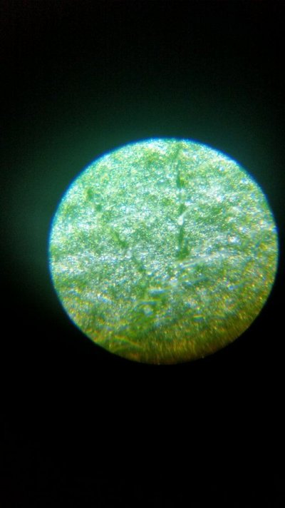 20160720_131533.jpg