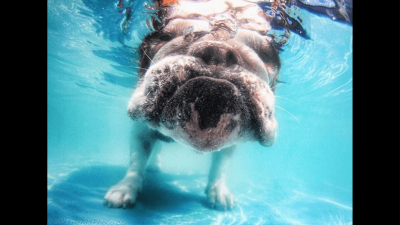 wp_ss_20150911_0001.png