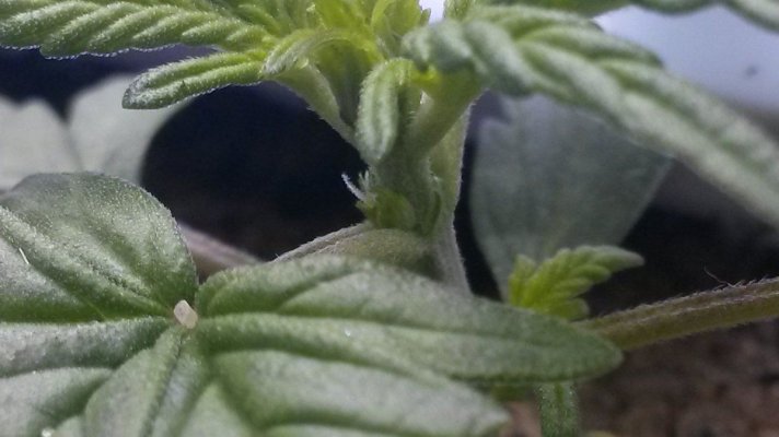 20160730_215054.jpg