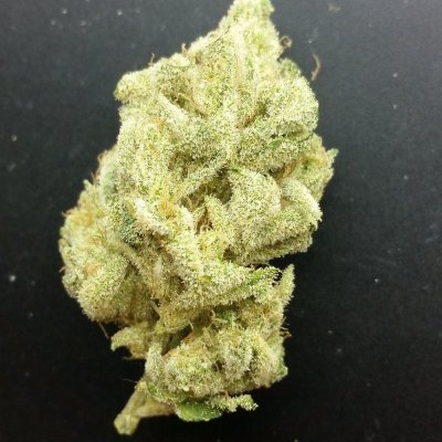 Bodhi Seeds Thread.