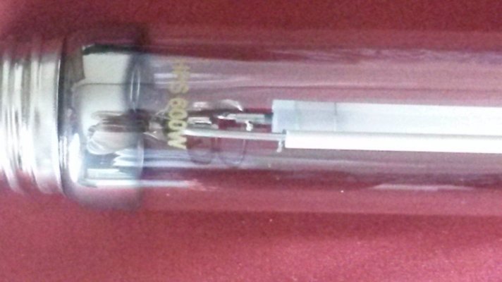 20160807_141236.jpg