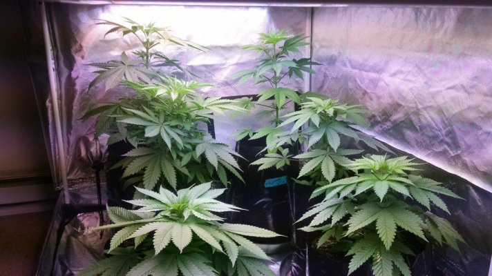 Living And Learning In Oregon