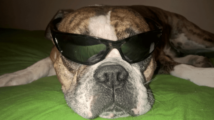 wp_ss_20160801_0007.png