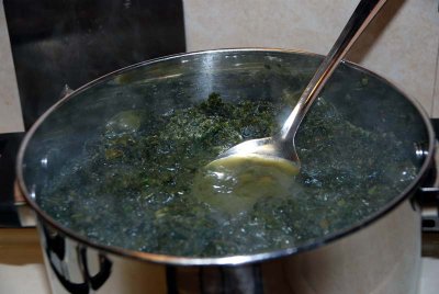 6-stirringcannabisinwatersm.jpg
