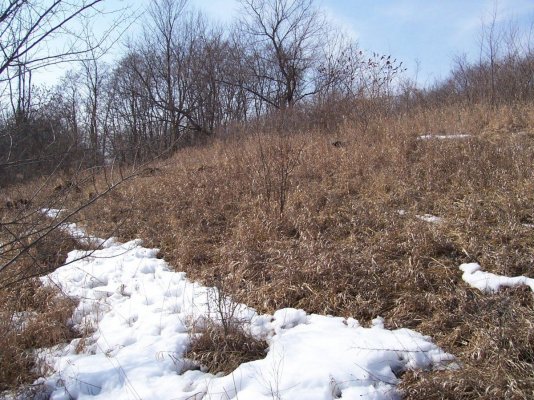 outdoor-michigan-2010.jpg