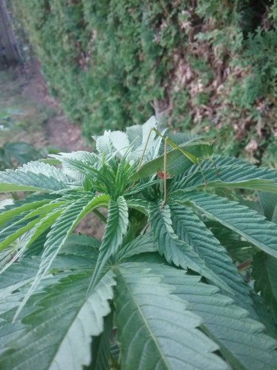 20160826_142624.jpg