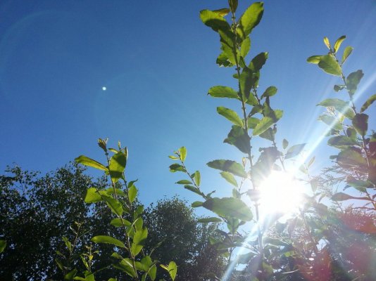 Trying Organics With Better Organix