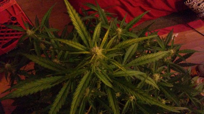 20160830_162337.jpg