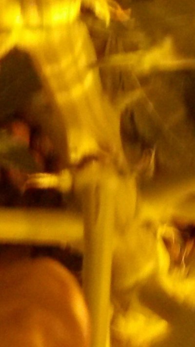 20160831_194314.jpg