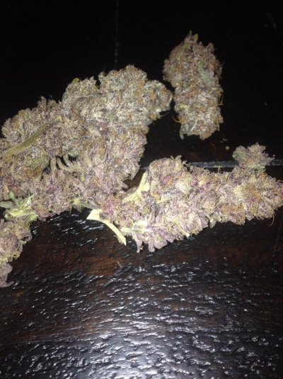 how much are dispensaries paying for a pound?