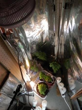 9-20-16 new mylar panel.JPG