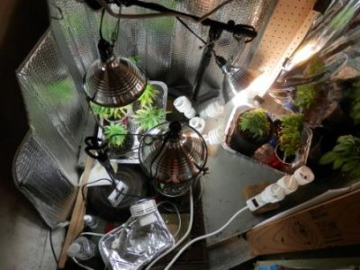 9-20-16 more space for plants.JPG