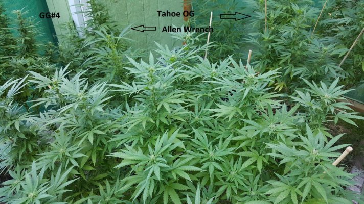 A Little Corner Outdoor