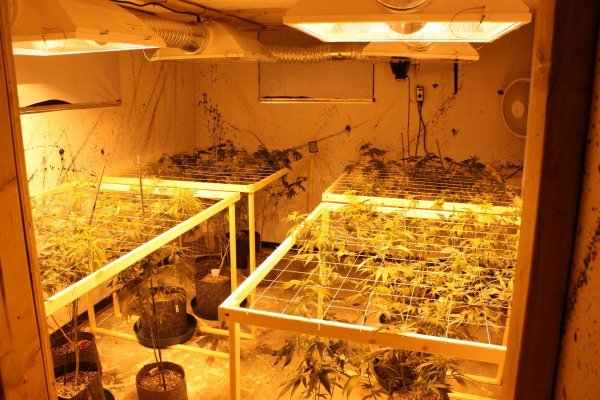 new-room-soiless-grow.jpg