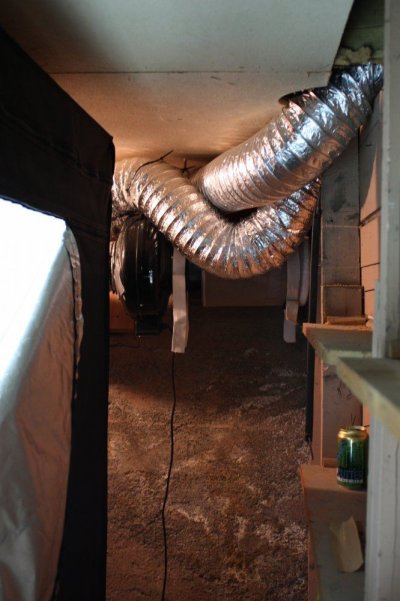 new-room-soiless-grow-4.jpg