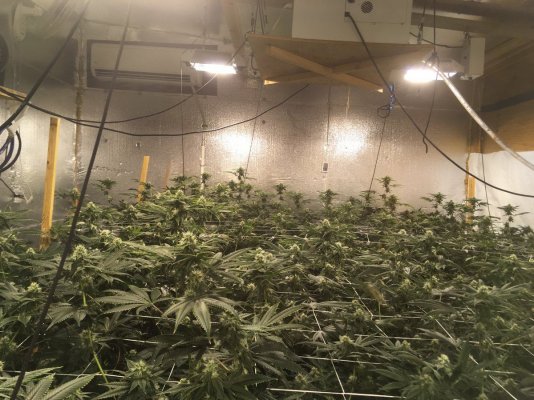 Terps House