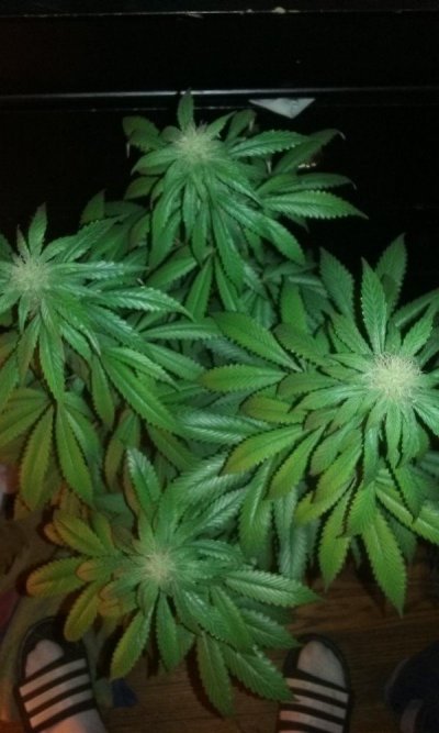 20160924_124846.jpg