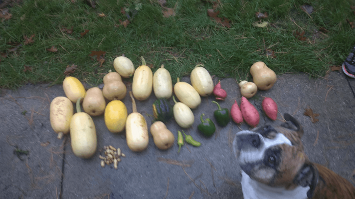 wp_ss_20161022_0001.png