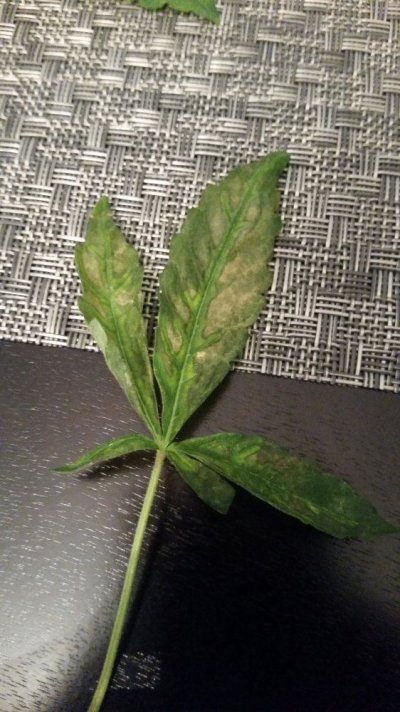 20161022_154423.jpg