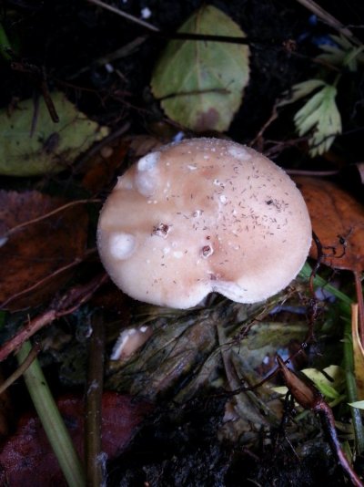 20161030_110512.jpg