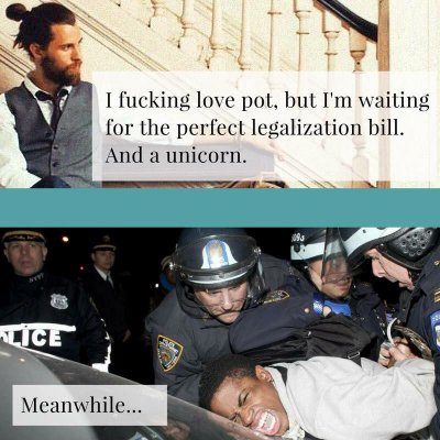 Cali Legal!!! Wtf We Do Now
