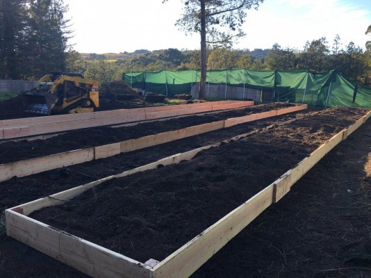 I'm Gonna Buy Or Build Raised Beds For Light Dep Next Year. All Advice Is Welcome And Appreciated