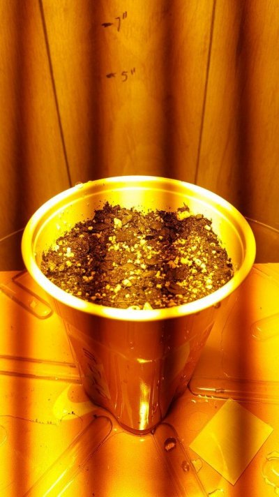 ohpekushs-first-grow-journal.jpg